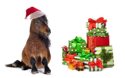 Ideas For Horsey Stocking Stocking Fillers