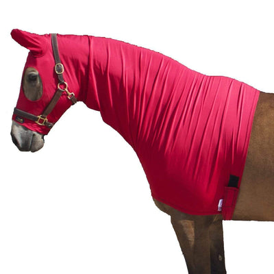 Show Clothing For Horses: Shiny Show Hoods and Rugs