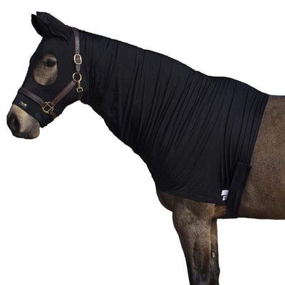Horse Rugs: The Best Rug To Encourage Coat Shine