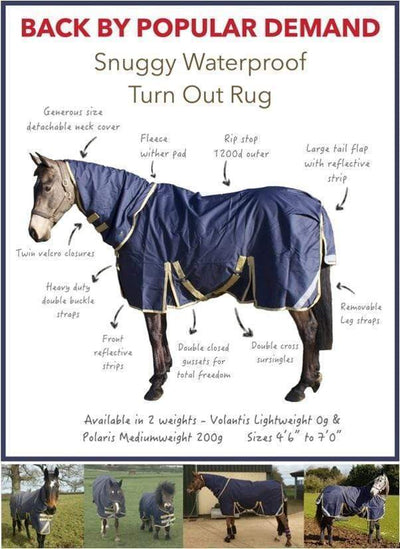 Back by Popular Demand - Turn Out Rugs