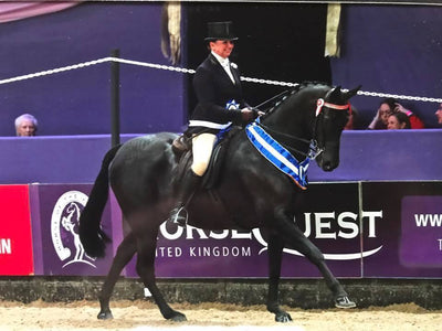 Success at HOYS2017 for Snuggy Hoods