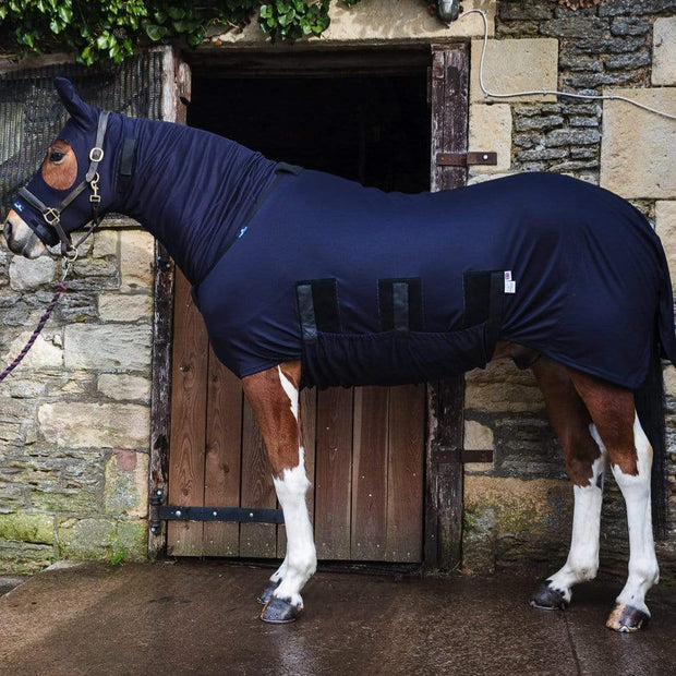 Snuggy Hoods Winter Under Rug with complete tummy coverage & turn out hood set for horse & pony 
